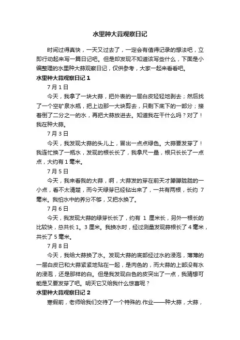 水里种大蒜观察日记