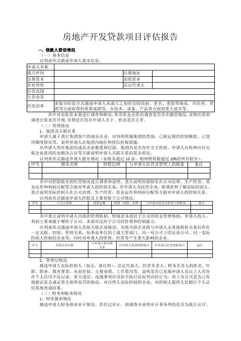 房地产开发贷款项目评估报告模板
