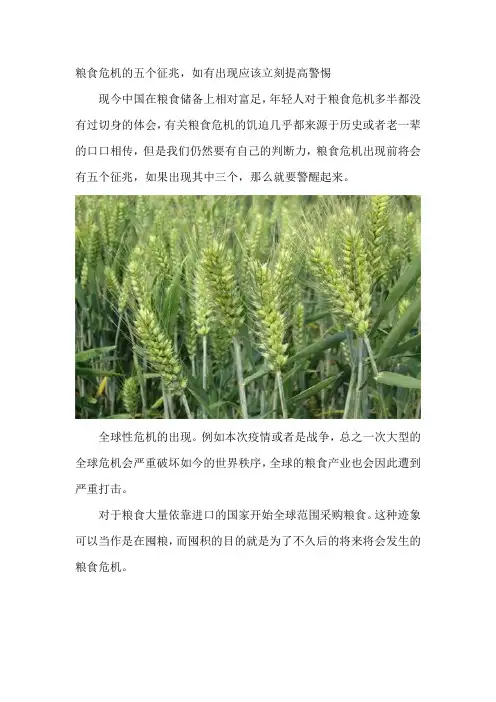 粮食危机的五个征兆
