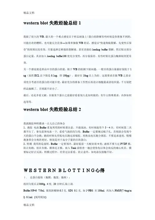 (整理)westernblot失败经验总结.