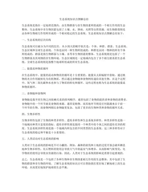 生态系统知识点图解总结