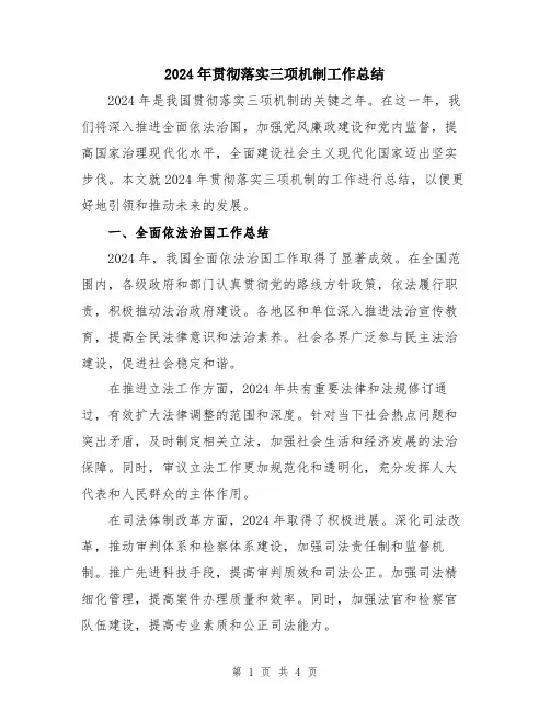 2024年贯彻落实三项机制工作总结
