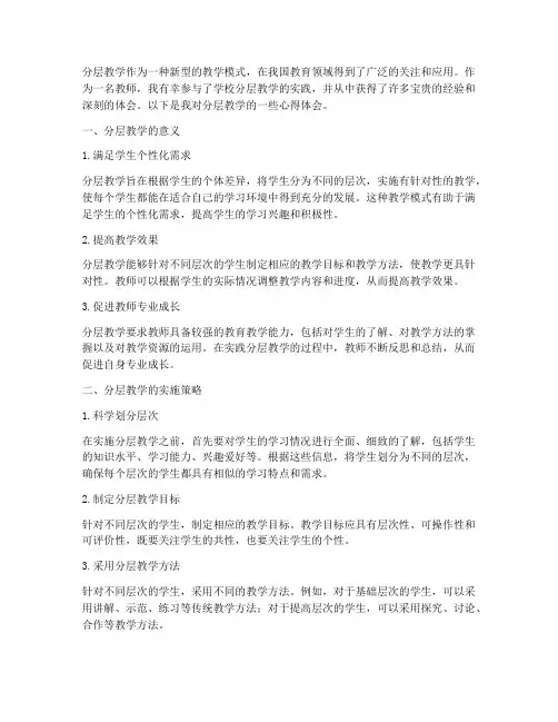 教师分层教学心得体会范文