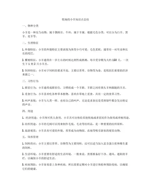 牧场的小羊知识点总结