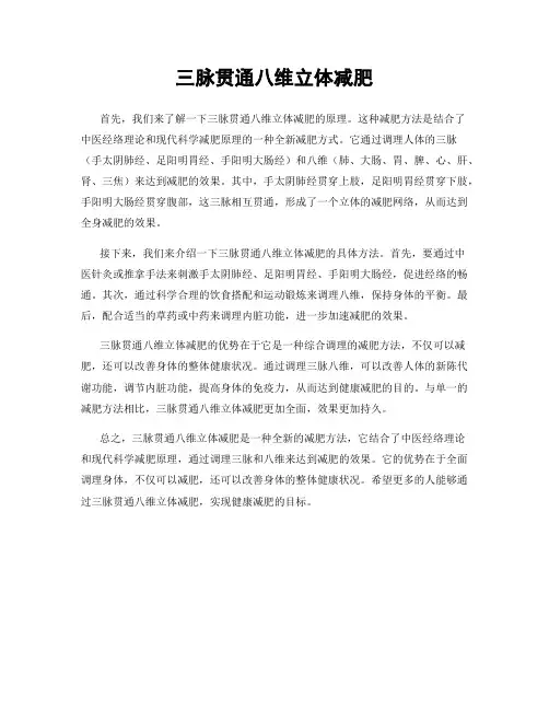 三脉贯通八维立体减肥