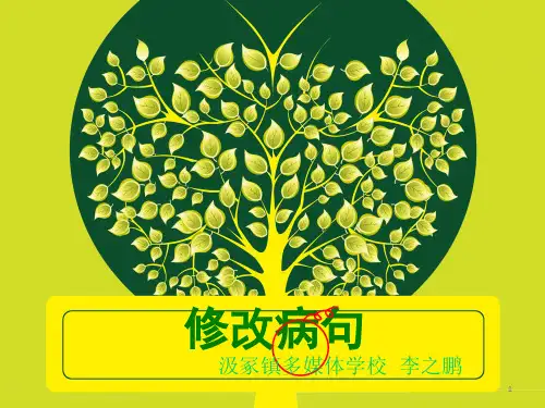 小学常见修改病句练习ppt课件