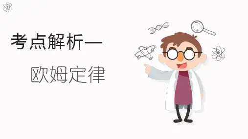 考点解析—欧姆定律