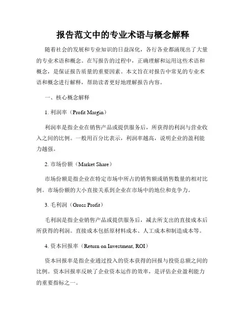 报告范文中的专业术语与概念解释