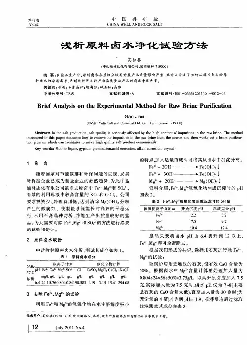 浅析原料卤水净化试验方法