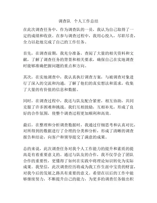 调查队   个人工作总结