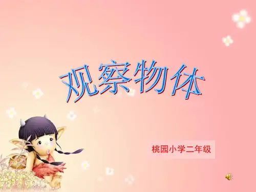 人教版小学数学二年级上册《观察物体》(课堂PPT)