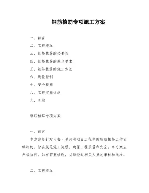 钢筋植筋专项施工方案