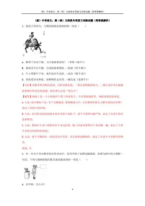 (新)中考语文：图(表)文转换专项复习训练试题(附答案解析)