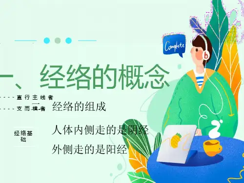 经络基础分钟