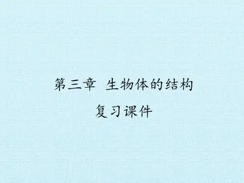 北京版初中初一七年级上册生物：第三章 生物体的结构 复习课件