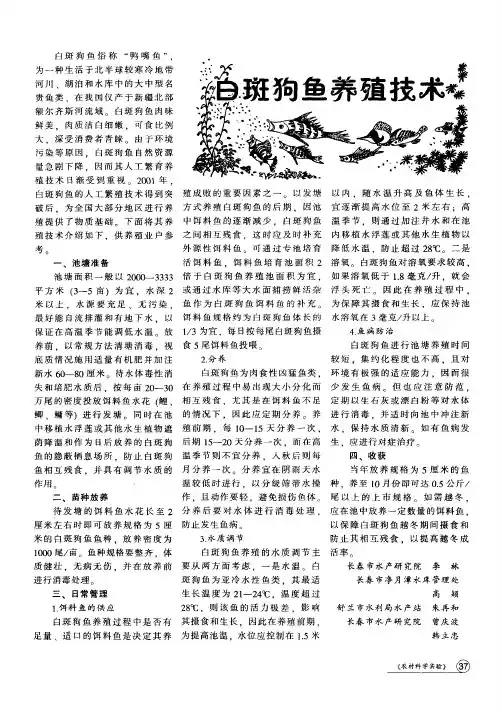 白斑狗鱼养殖技术