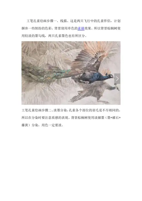 工笔花鸟画孔雀的画法图文步骤