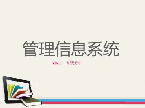 MIS11 系统分析