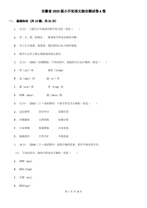 安徽省2020版小升初语文综合测试卷A卷