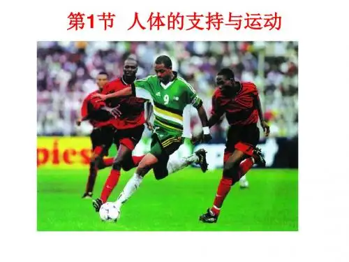 人体的支持与运动 PPT课件3 苏科版