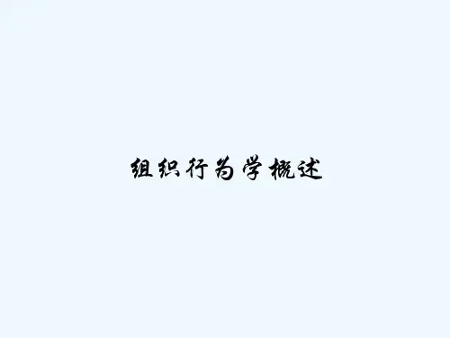 组织行为学概述 PPT