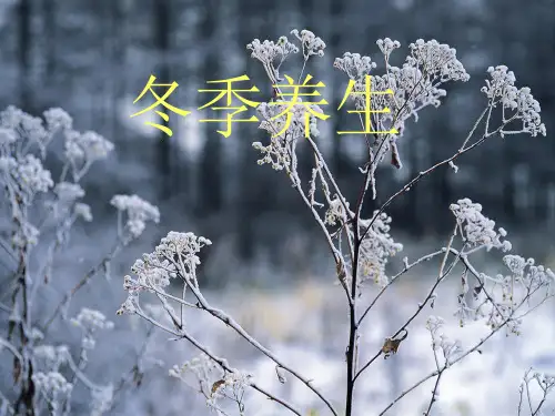 冬季养生ppt课件