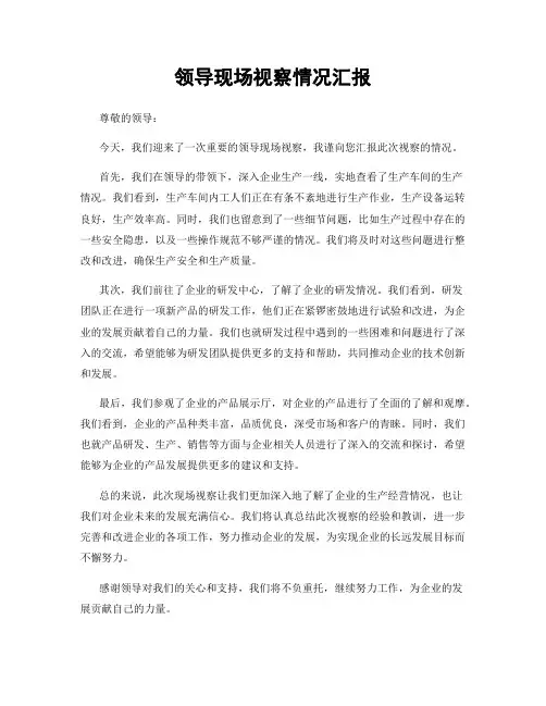 领导现场视察情况汇报