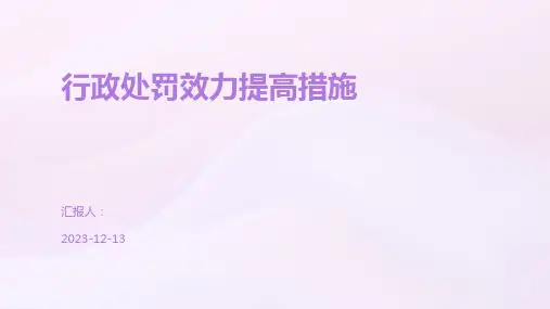 行政处罚效力提高措施