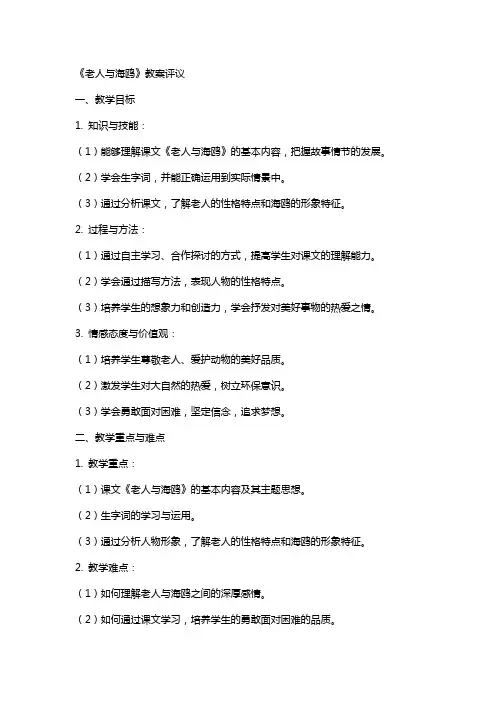 老人与海鸥教案评议