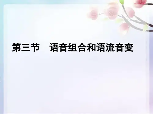 现代汉语 音变