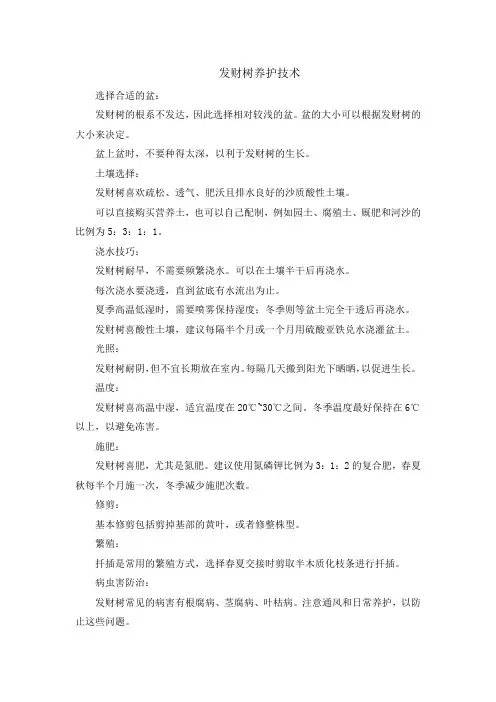 发财树养护技术