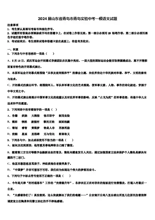 2024届山东省青岛市青岛实验中考一模语文试题含解析