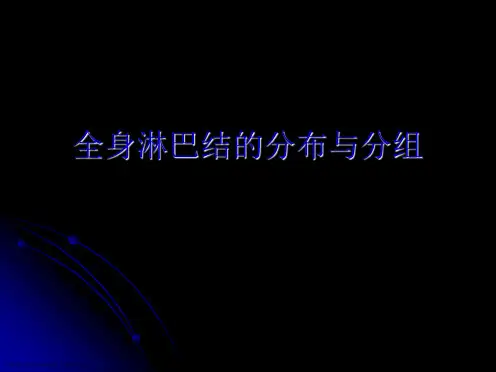 全身淋巴结的分布及分组