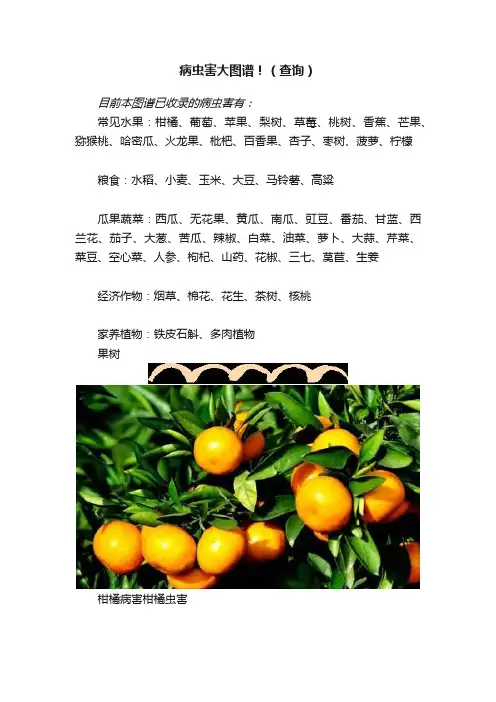 病虫害大图谱！（查询）