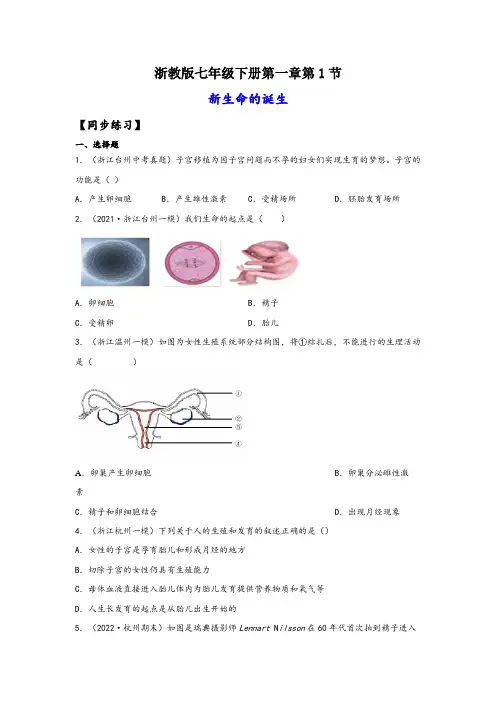 浙教版七年级科学下册同步精品课堂1.1新生命的诞生(练习)(原卷版+解析)