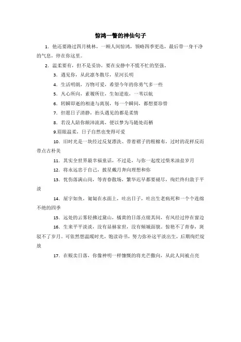 惊鸿一瞥的神仙句子