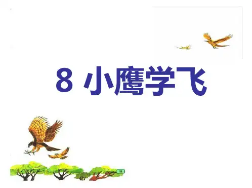 苏教版二年级语文上册《8小鹰学飞》课件
