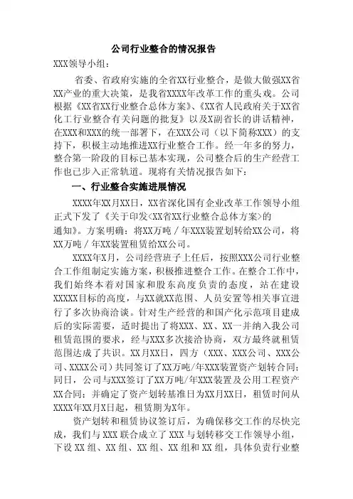 公司行业整合情况报告