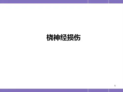 桡神经损伤PPT精选课件