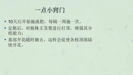 种植我们的植物最新课件.ppt