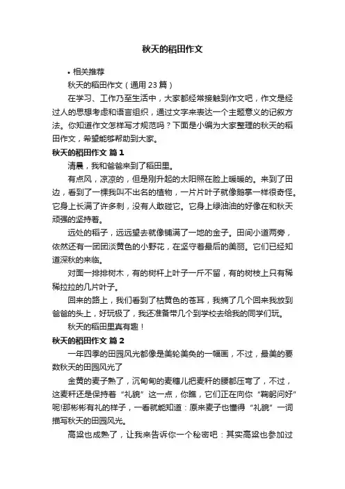 秋天的稻田作文