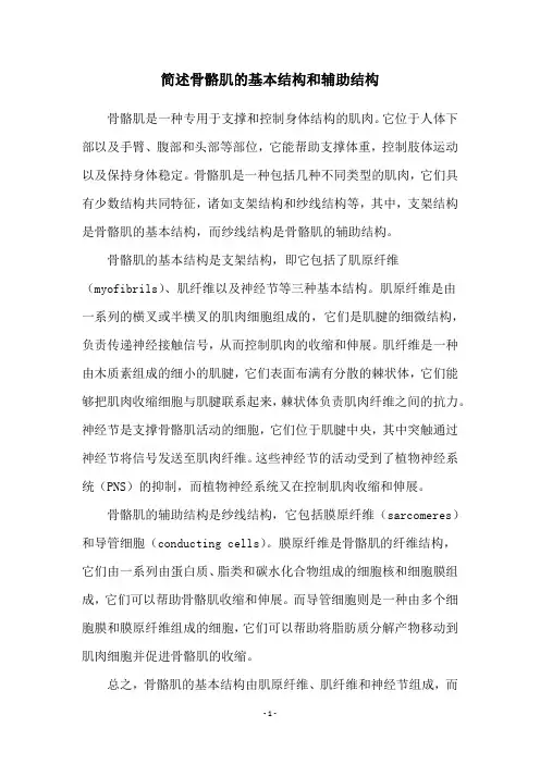 简述骨骼肌的基本结构和辅助结构