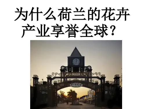 为什么荷兰花卉产业享誉全球？