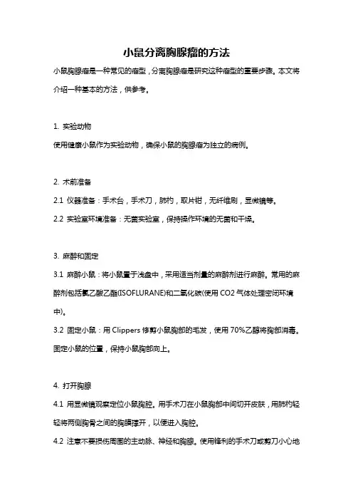 小鼠分离胸腺瘤的方法