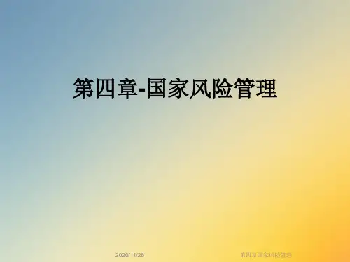 第四章国家风险管理