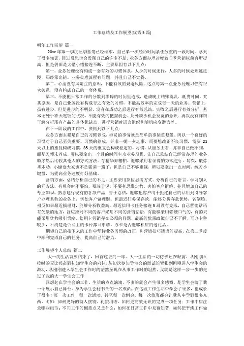 工作总结及工作展望(优秀5篇)
