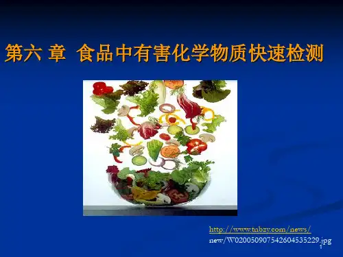 农残兽残快速检测PPT课件