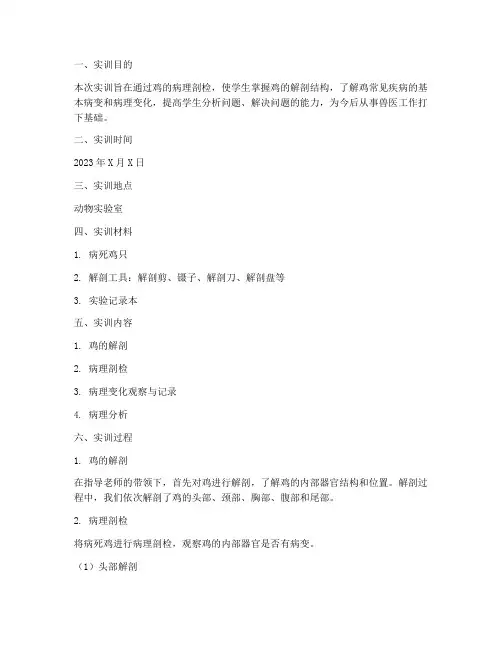 鸡的病理剖检实训报告