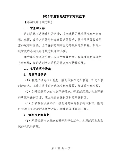2023年溶洞处理专项方案范本