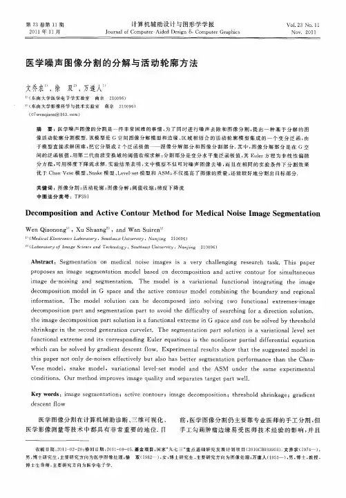 医学噪声图像分割的分解与活动轮廓方法